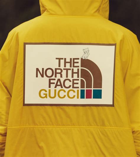 gucci. orth face|north face Gucci collection.